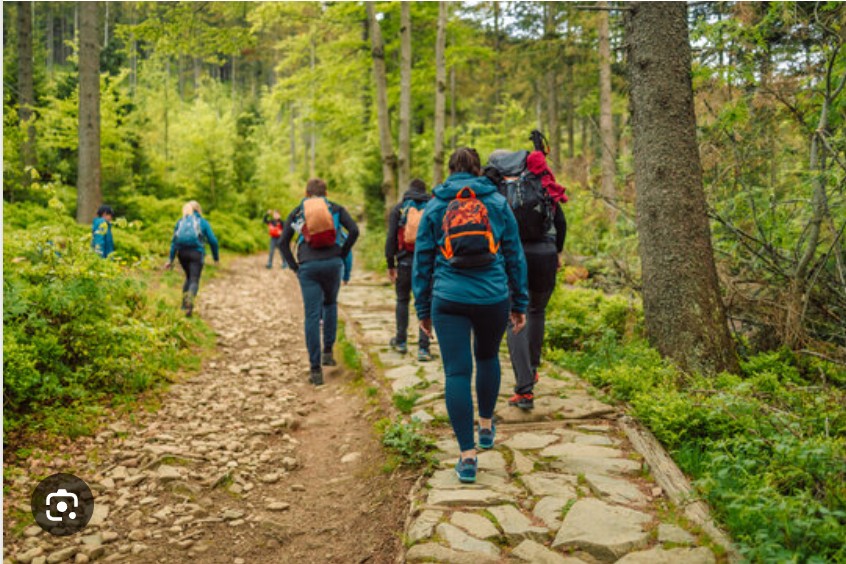 How to Pick the Right Backpack Size for You